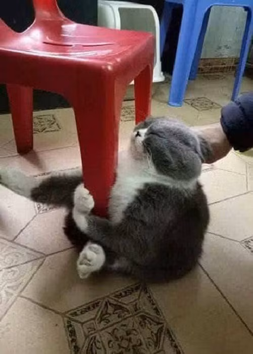 10-anh-hai-hot-nhat-facebook-trong-ngay-3