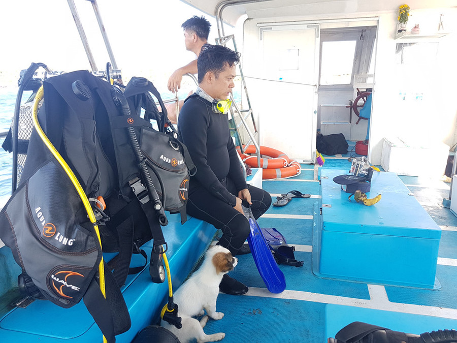 Chơi Tết, ai đã từng thấy san hô đen cực hiếm ở thủy cung Cồn Cỏ? - ảnh 2