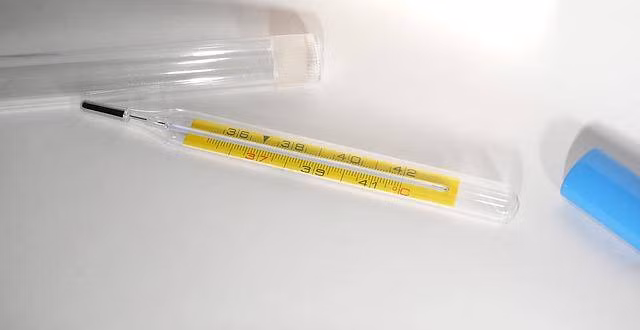 Nhiệt kế là thứ vật dụng cần thiết trong mỗi gia đình để kịp thời theo dõi sức khỏe cho các thành viên (ảnh minh họa).