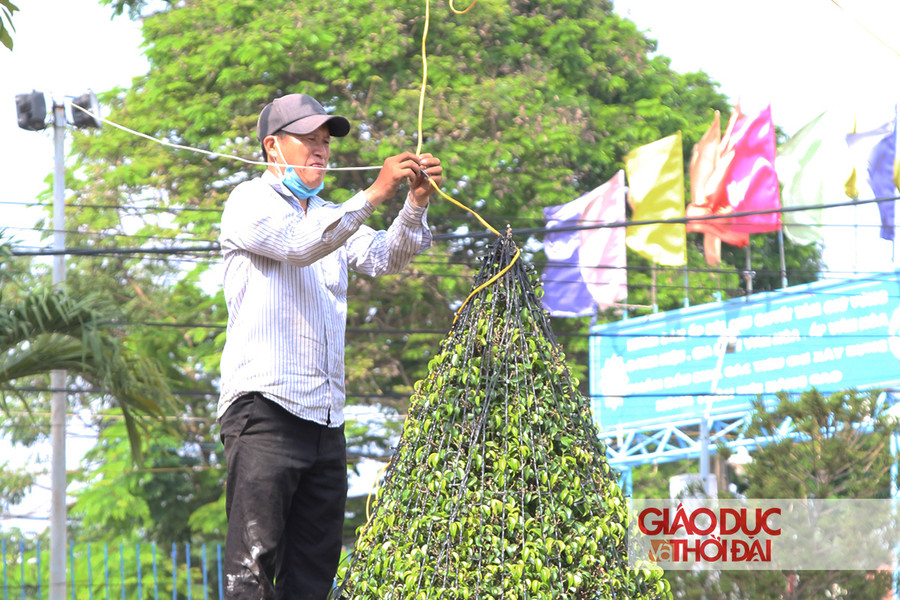 Nhiều dải đèn thắp sáng được các giáo dân gấp rút hoàn thiện.