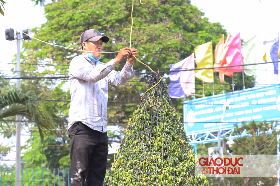 Nhiều dải đèn thắp sáng được các giáo dân gấp rút hoàn thiện.