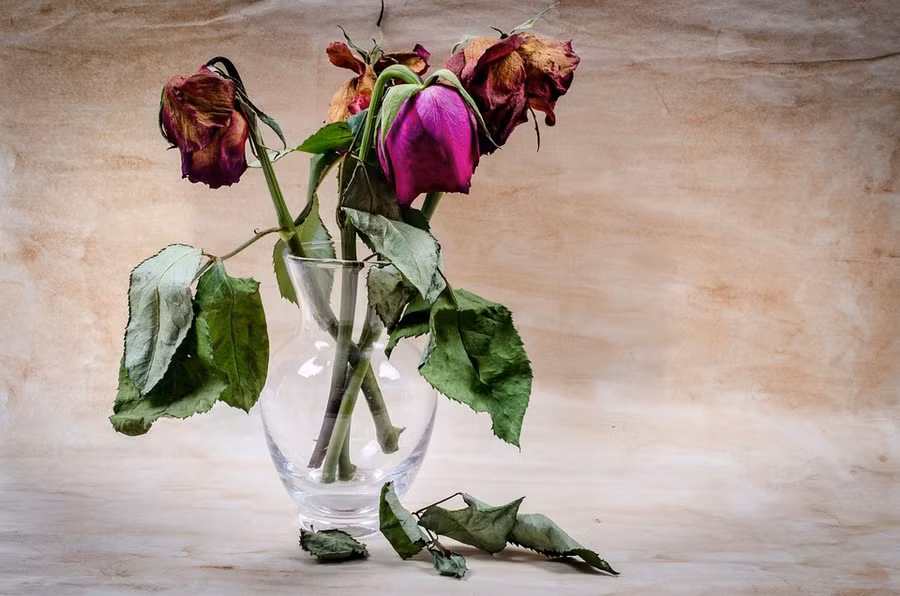 5 món đồ đại kỵ đừng dại giữ trong nhà kẻo xui xẻo 