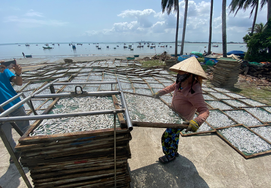 Người lao động làm việc từ 6 giờ sáng đến chiều, tranh thủ trời nắng để phơi cá phục vụ các đơn hàng. Mùa hấp và phơi cá nhộn nhịp nhất là vào độ từ tháng 1 đến tháng 4 âm lịch hằng năm. Người lao động làm việc từ 6 giờ sáng đến chiều, tranh thủ trời nắng để phơi cá phục vụ các đơn hàng. Mùa hấp và phơi cá nhộn nhịp nhất là vào độ từ tháng 1 đến tháng 4 âm lịch hằng năm.