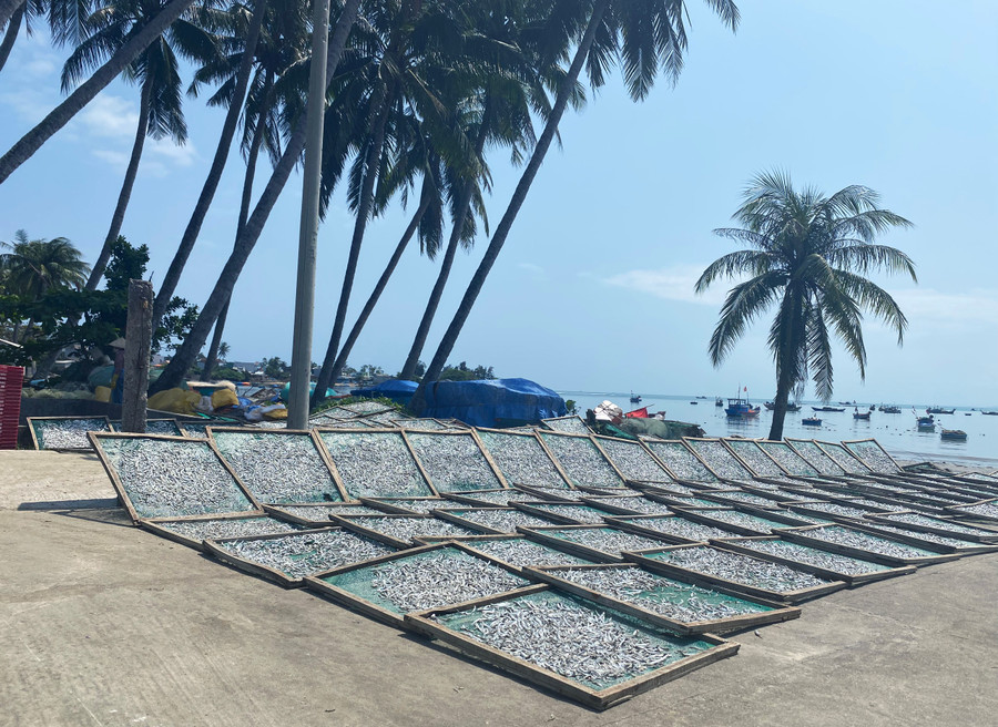 Cá cơm thành phẩm trong đó có cả loại 1 nắng được chọn lựa theo tiêu chí của thương lái: đẹp, không quá khô hoặc được loại bỏ phần đầu. Sau đó đóng gói và xuất đi các tỉnh tây nguyên như Gia Lai; Đăk Lăk hoặc xuất đi các thị trường Trung Quốc, Đài Loan, Malaysia... Cá cơm thành phẩm trong đó có cả loại 1 nắng được chọn lựa theo tiêu chí của thương lái: đẹp, không quá khô hoặc được loại bỏ phần đầu. Sau đó đóng gói và xuất đi các tỉnh tây nguyên như Gia Lai; Đăk Lăk hoặc xuất đi các thị trường Trung Quốc, Đài Loan, Malaysia...