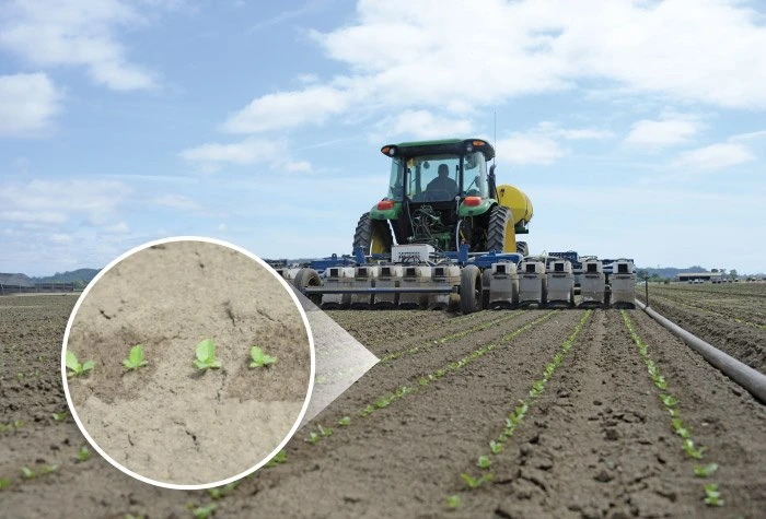 LettuceBot đánh giá trực quan trang trại rau diếp ở vùng Salina, California. Ảnh: Syngenta-US.
