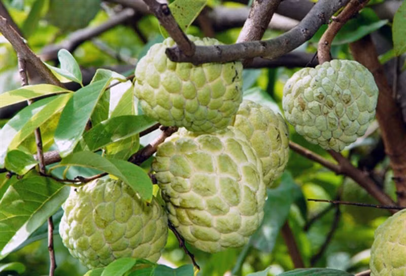 Ảnh minh họa/INT.