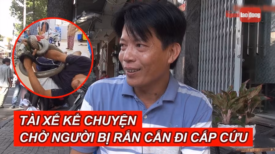 Tài xế kể chuyện chở người bị rắn hổ mang chúa cắn đi cấp cứu