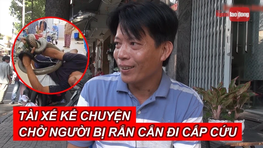 Tài xế kể chuyện chở người bị rắn hổ mang chúa cắn đi cấp cứu