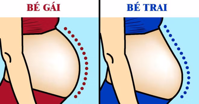 Nhìn hình dáng bụng bầu có thể đoán giới tính thai nhi, đâu là sự thật? - Ảnh 1.