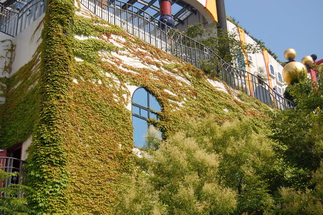 Thảm thực vật xanh mướt phủ kín bên ngoài