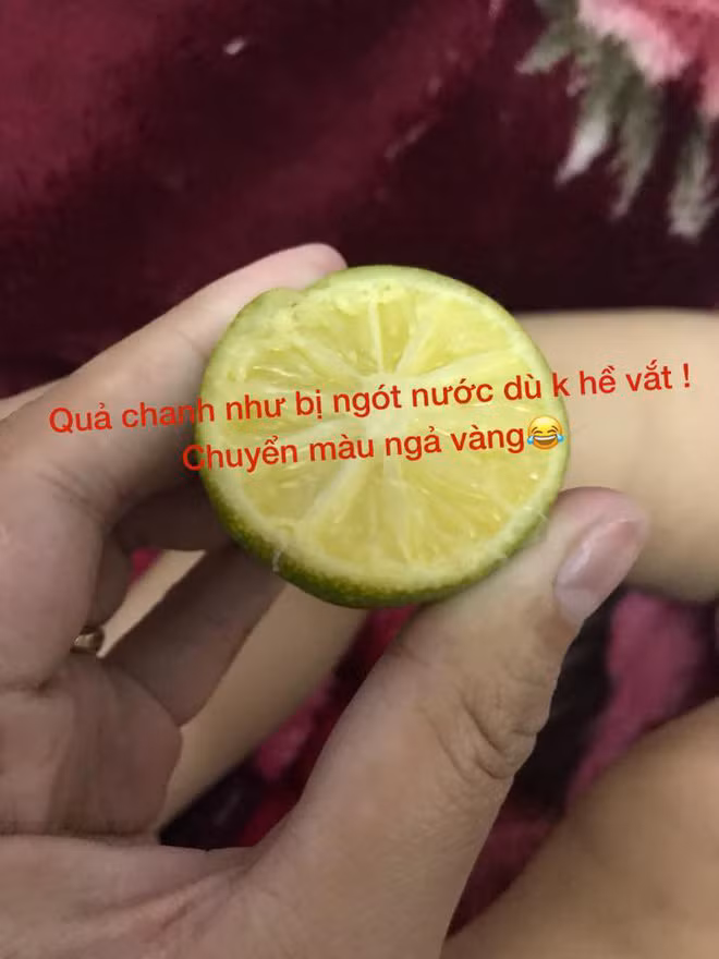 Các mẹ rầm rộ chia sẻ mẹo hạ sốt trị ho cho con bằng cách buộc chanh vào bàn chân, bác sĩ nói gì? - Ảnh 3.