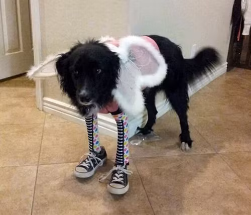 cuoi-te-ghe-11-9-cai-guong-la-tao-vat-cua-su-doi-tra-2-4