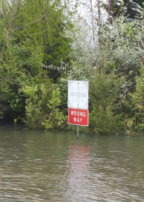 Khi bạn nhận ra sai đường thì đã quá muộn màng. Khi bạn nhận ra sai đường thì đã quá muộn màng.