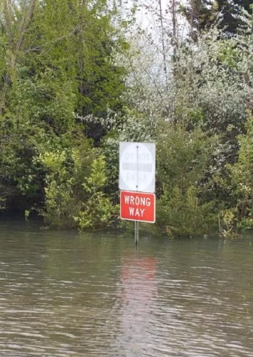 Khi bạn nhận ra sai đường thì đã quá muộn màng.