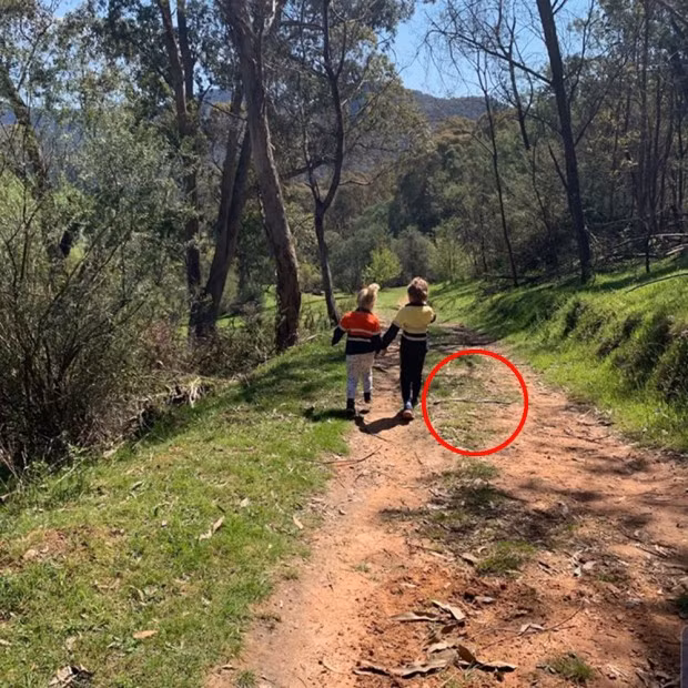 Bức ảnh tưởng bình thường nhưng suýt trở thành khoảnh khắc cuối của 2 đứa trẻ vì “bé Na” nguy hiểm nằm ngay cạnh mà không hay biết - Ảnh 1.