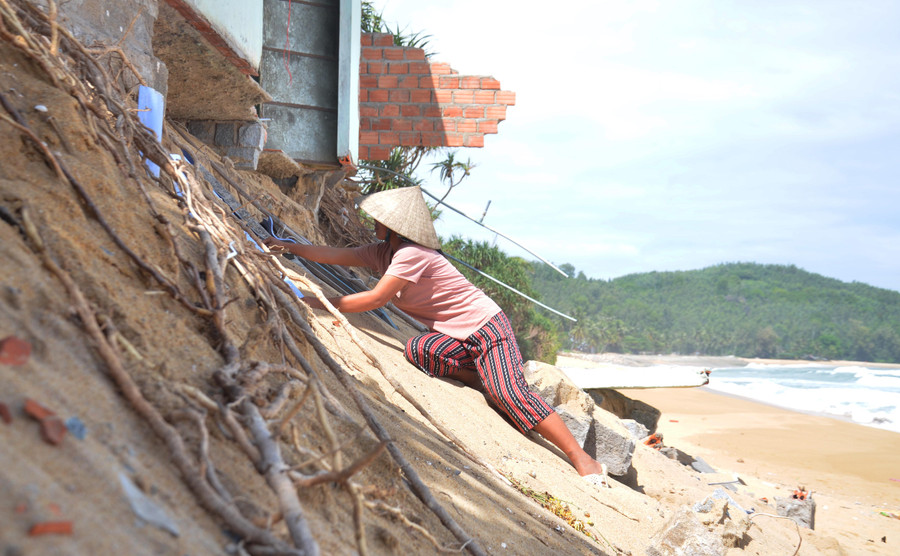 Chị Võ Thị Mến con dâu ông Tới đang phụ giúp nhặt những mảnh tôn nát vụn sau vụ sạt lở.