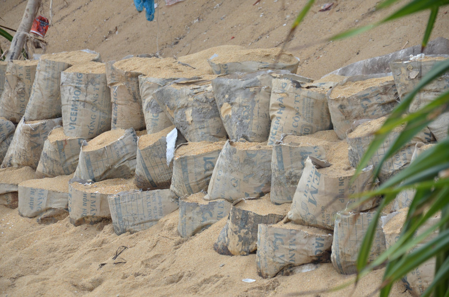 Lo ngại sóng biển sẽ càng ngày càng lấn sâu, người dân dùng bao cát để gia cố bờ biển.