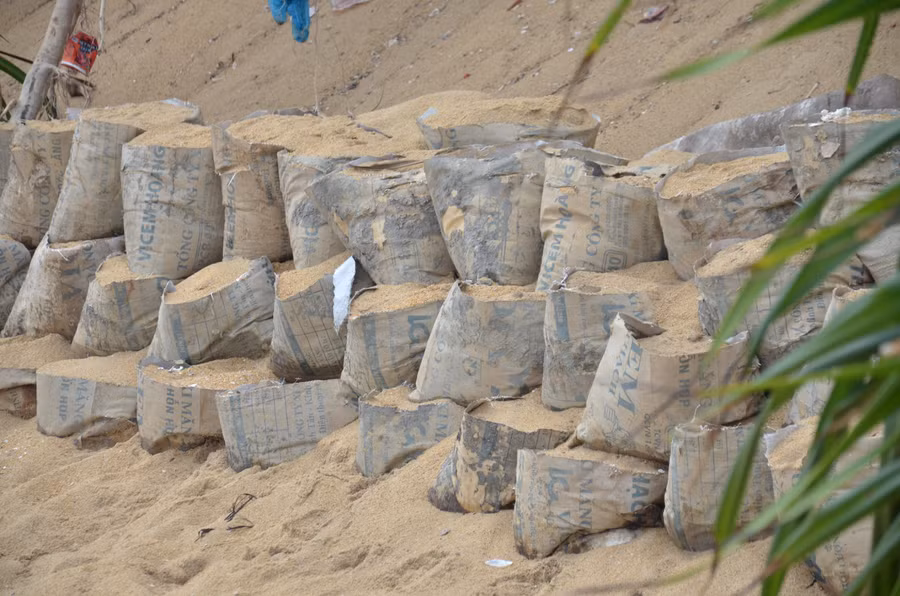 Lo ngại sóng biển sẽ càng ngày càng lấn sâu, người dân dùng bao cát để gia cố bờ biển.