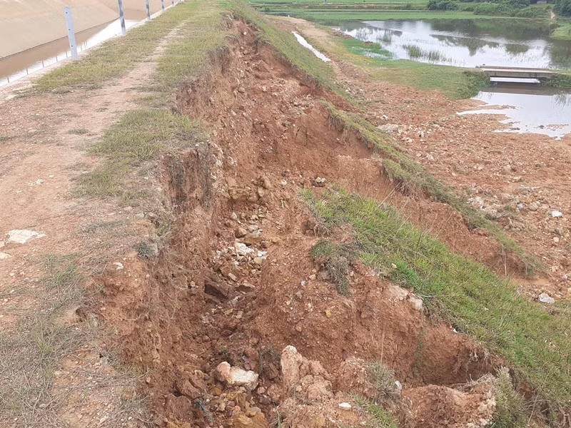 Mái kênh bị sạt lở nghiêm trọng