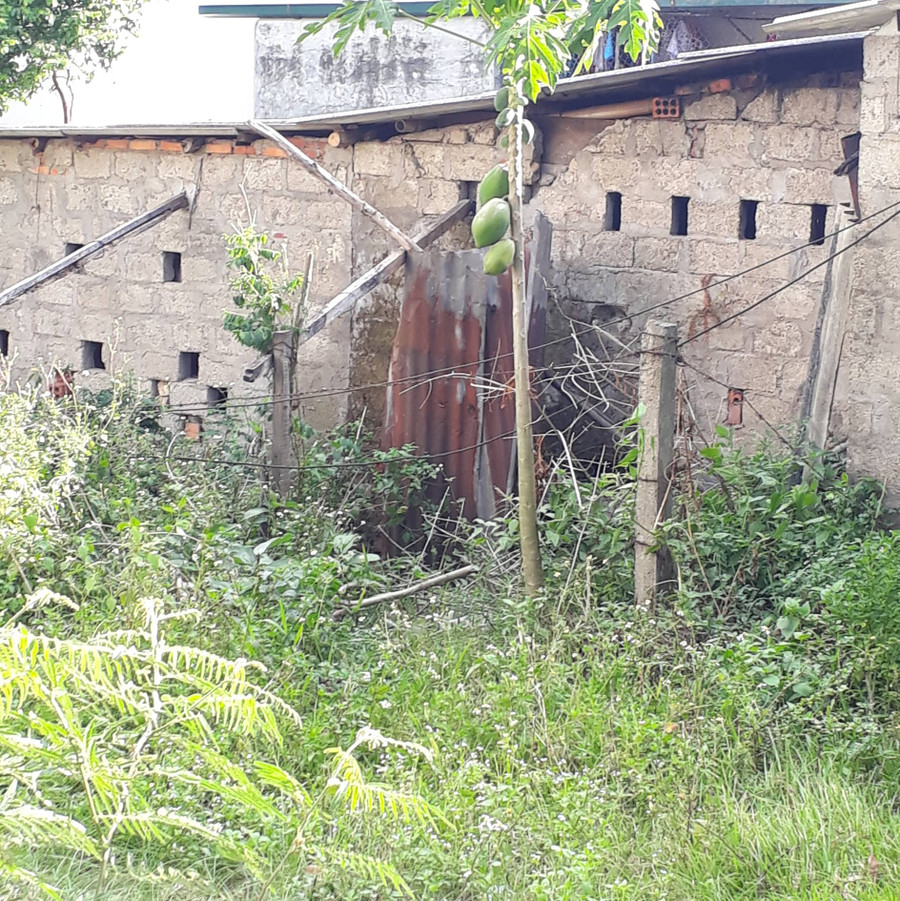 Khu vực đất tranh chấp giữa bà Nam và ông Phước