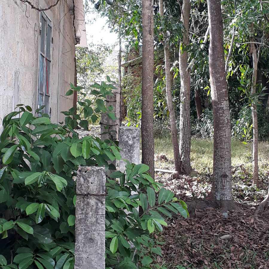 Hàng rào mà bà Nam dựng lên