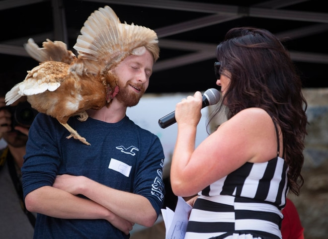 Xem gà “so găng” tại giải vô địch đua gà mái thế giới ảnh 11