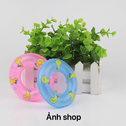 Ảnh trên mạng...