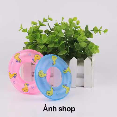 Ảnh trên mạng...