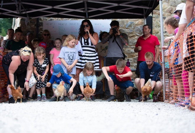 Xem gà “so găng” tại giải vô địch đua gà mái thế giới ảnh 1