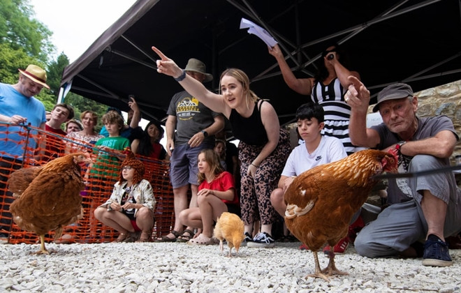 Xem gà “so găng” tại giải vô địch đua gà mái thế giới ảnh 9