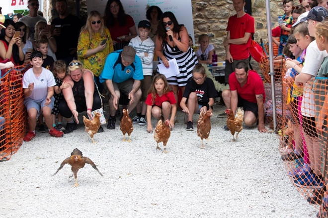 Xem gà “so găng” tại giải vô địch đua gà mái thế giới ảnh 7