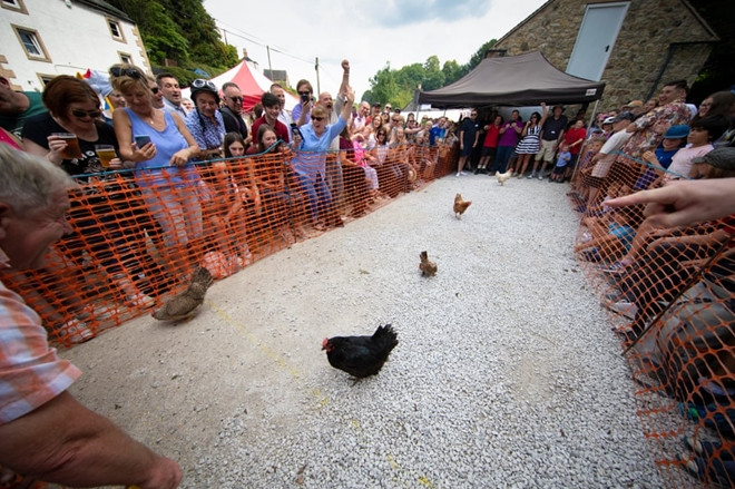 Xem gà “so găng” tại giải vô địch đua gà mái thế giới ảnh 4