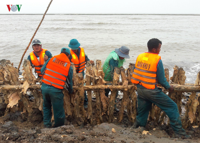 hang tram nguoi trang dem ho de o ca mau, quyet khong de vo de hinh 4