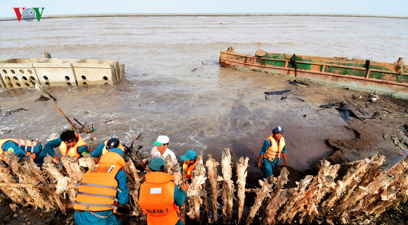 hang tram nguoi trang dem ho de o ca mau, quyet khong de vo de hinh 3