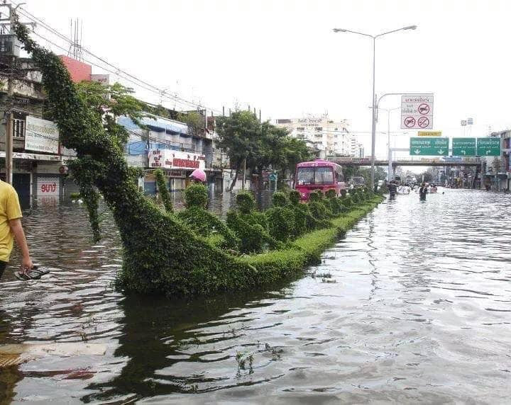 Tiên tri... Tiên tri...