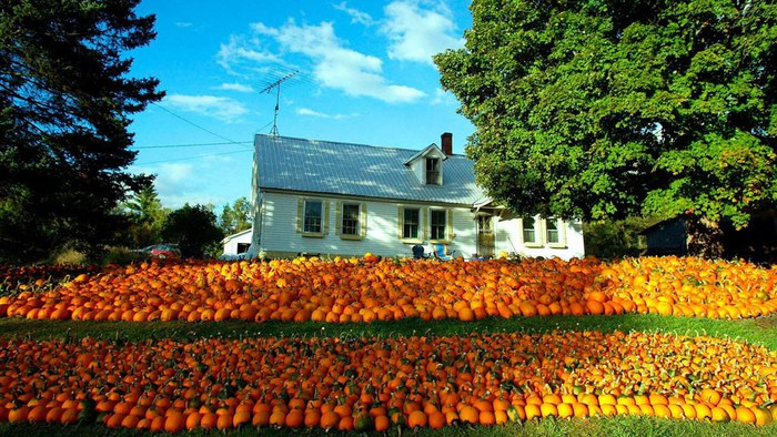 6 thị trấn xinh đẹp đang "cầu xin" thêm người đến sống ảnh 12 6 thị trấn xinh đẹp đang "cầu xin" thêm người đến sống ảnh 12