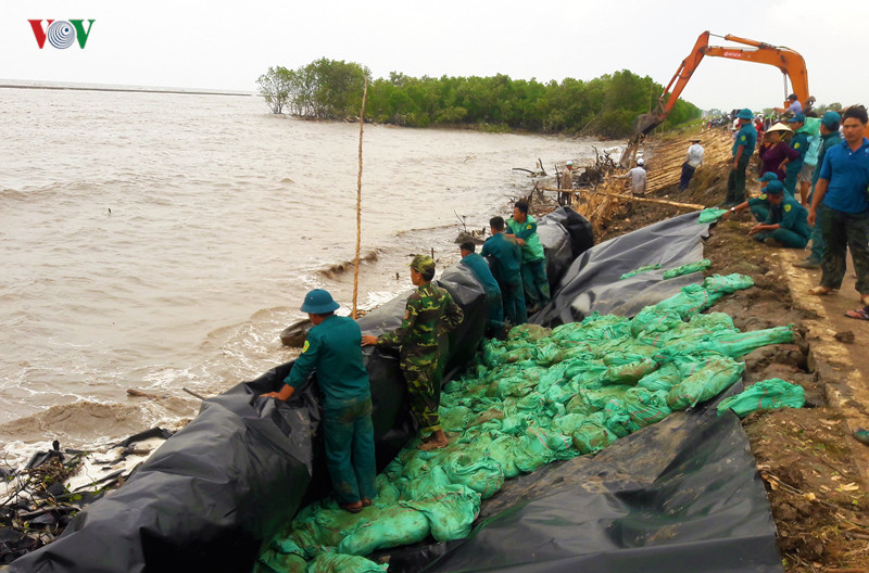 hang tram nguoi trang dem ho de o ca mau, quyet khong de vo de hinh 2