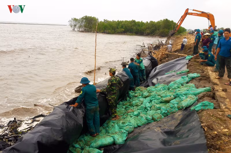 hang tram nguoi trang dem ho de o ca mau, quyet khong de vo de hinh 2
