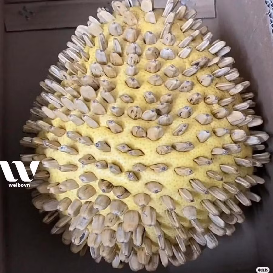 Săn sale hết mình, hàng về hết ...hồn!