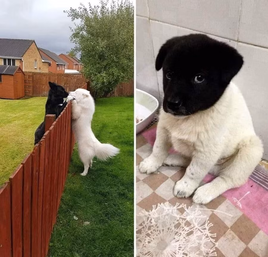 Tất cả bắt đầu khi mẹ tôi gặp bố tôi và họ yêu nhau sau đó họ có tôi...