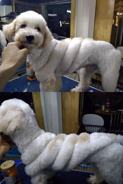 10-anh-hai-hot-nhat-facebook-trong-ngay-2