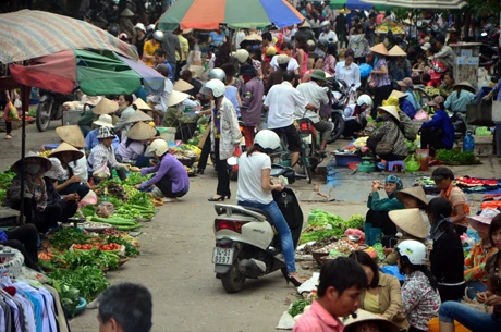 Sẽ xóa sổ chợ cóc ở Thủ đô Hà Nội. Ảnh minh họa