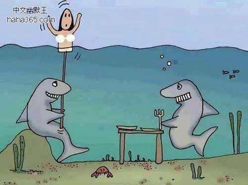 Mỹ nhân kế của cá mập. 10-anh-hai-hot-nhat-facebook-trong-ngay-6