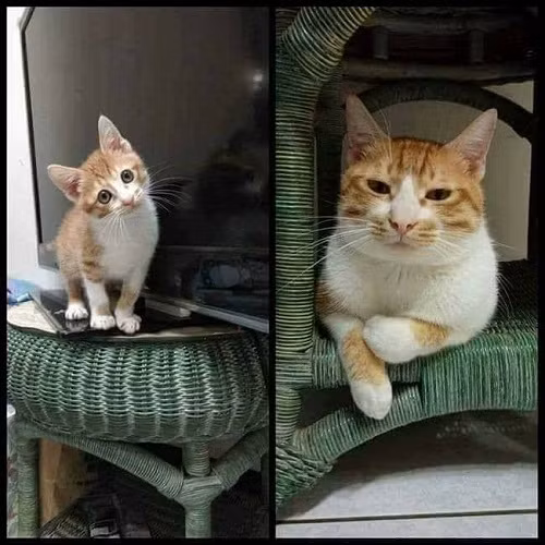 10-anh-hai-hot-nhat-facebook-trong-ngay-4