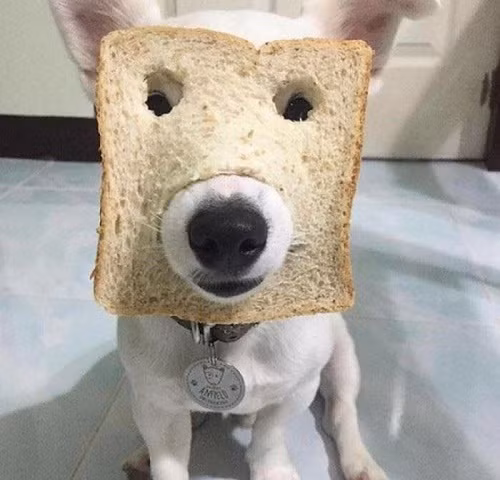 10-anh-hai-hot-nhat-facebook-trong-ngay-3