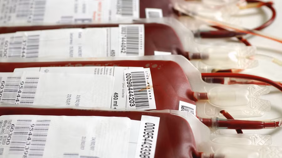 Cuộc sống muôn màu