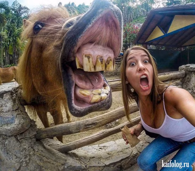 Những con người kỳ lạ và quái đản nhất hành tinh - Hình 12