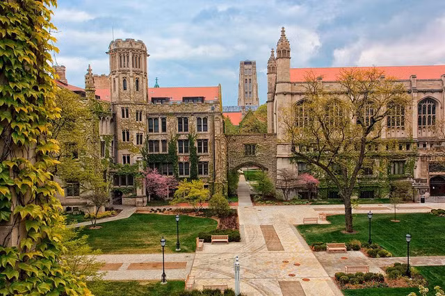 Khuôn viên trường Đại học Chicago (Mỹ).