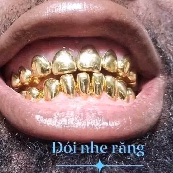 Các đại biểu tham dự hội nghị