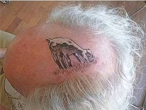 Lý do đầu hói. Lý do đầu hói.